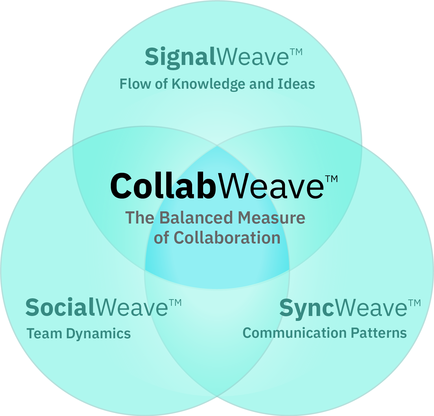 CollabWeave Model